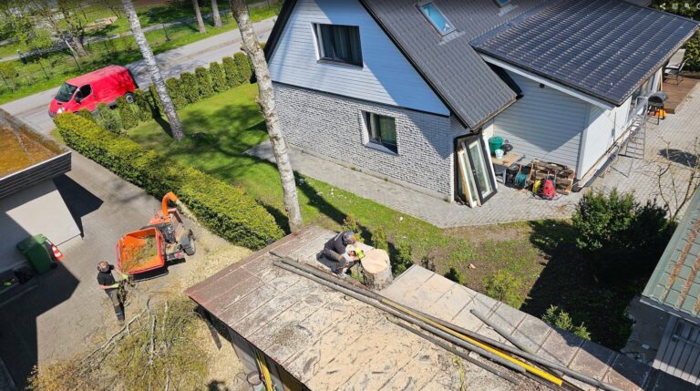 Arborist puu hooldustööl elurajoonis